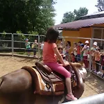 With Swimming Pool, Wellness, Horses And Donkeys Vrlika