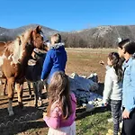 With Swimming Pool, Wellness, Horses And Donkeys Vrlika