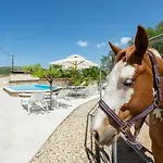Villa With Swimming Pool, Wellness, Horses And Donkeys *