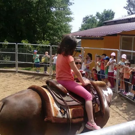 With Swimming Pool, Wellness, Horses And Donkeys Vrlika