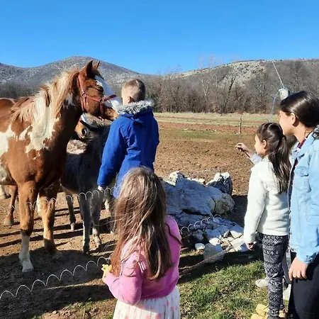 With Swimming Pool, Wellness, Horses And Donkeys Vrlika