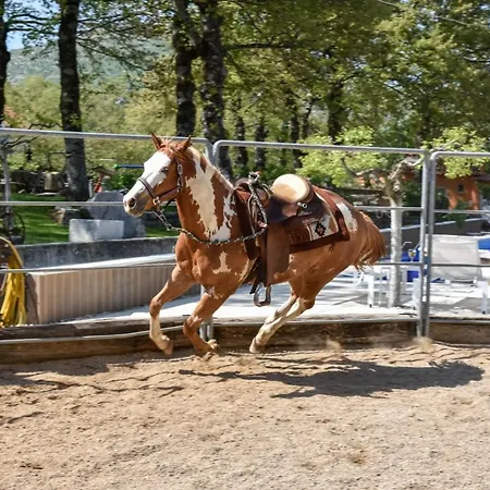With Swimming Pool, Wellness, Horses And Donkeys Willa