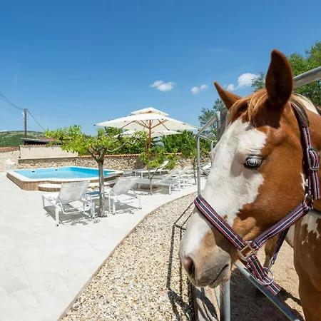 Willa With Swimming Pool, Wellness, Horses And Donkeys *